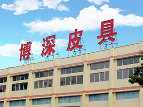 广东皮具厂看哪里,广州 东莞 还是深圳