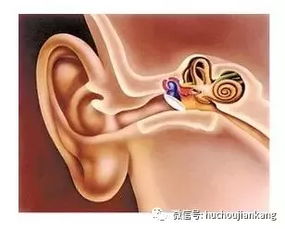 深圳仁爱医院腋臭专科解析 为何独有你有腋臭