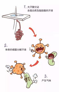 是什么原因引发狐臭的呢