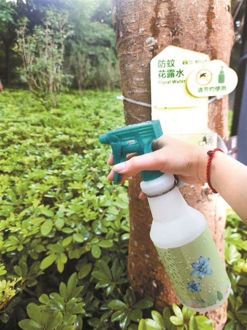 深圳公园纷纷上新花露水 急救盒 雨伞 垃圾袋等便民用品